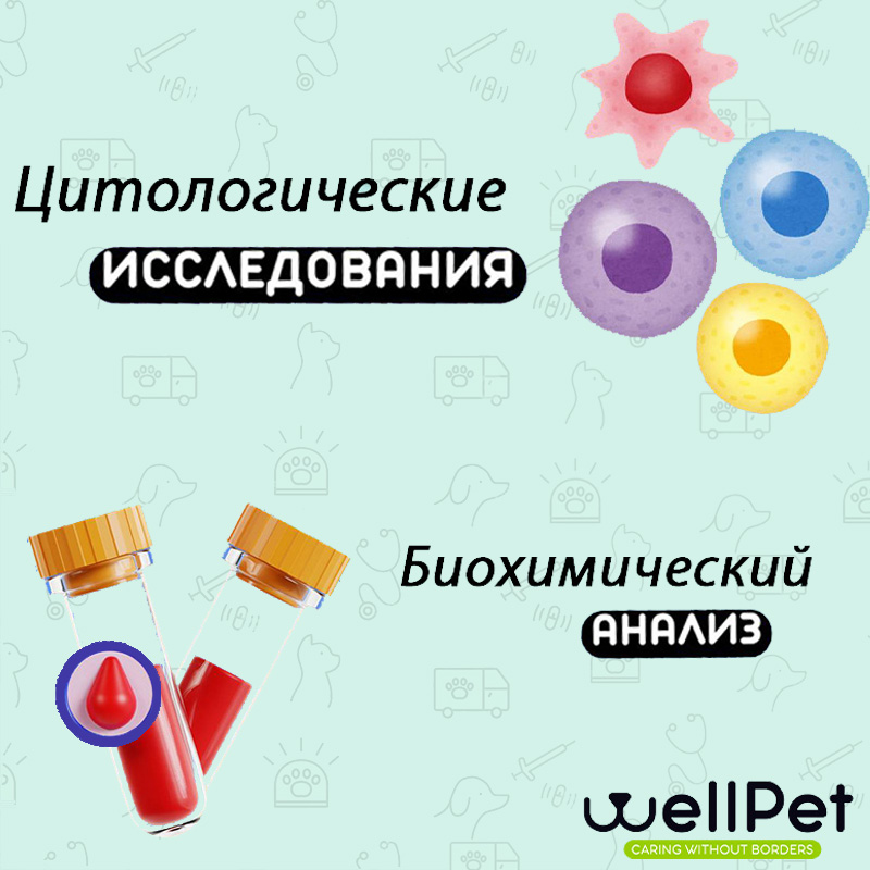 Карусель 3